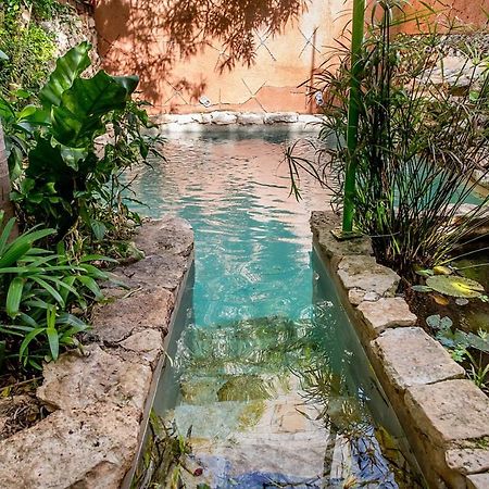 La Selva By Majikal B&B Mérida Εξωτερικό φωτογραφία