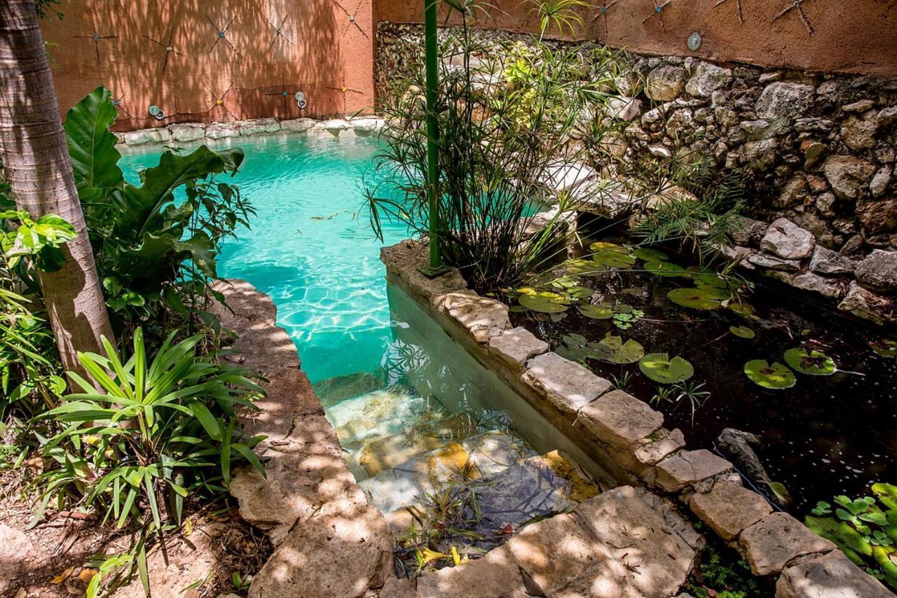 La Selva By Majikal B&B Mérida Εξωτερικό φωτογραφία