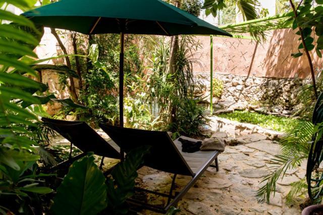 La Selva By Majikal B&B Mérida Εξωτερικό φωτογραφία