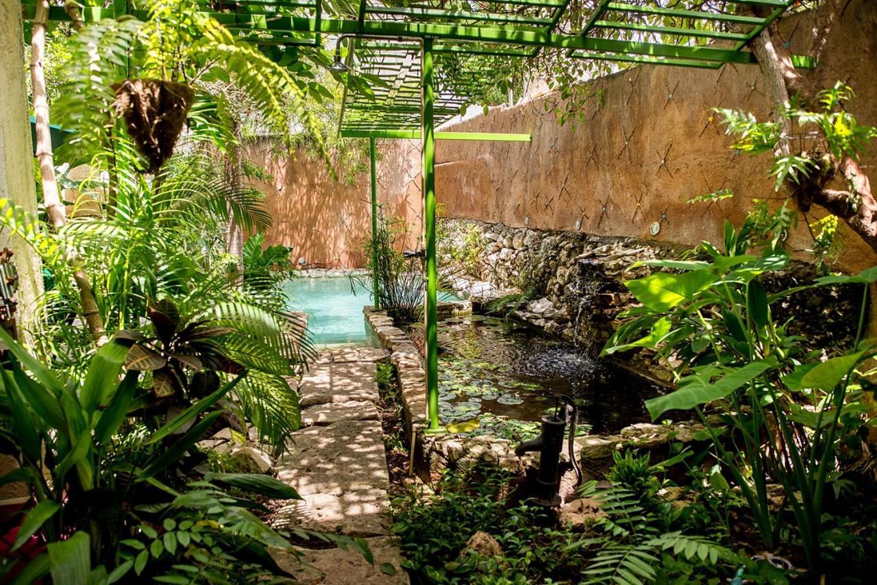 La Selva By Majikal B&B Mérida Εξωτερικό φωτογραφία